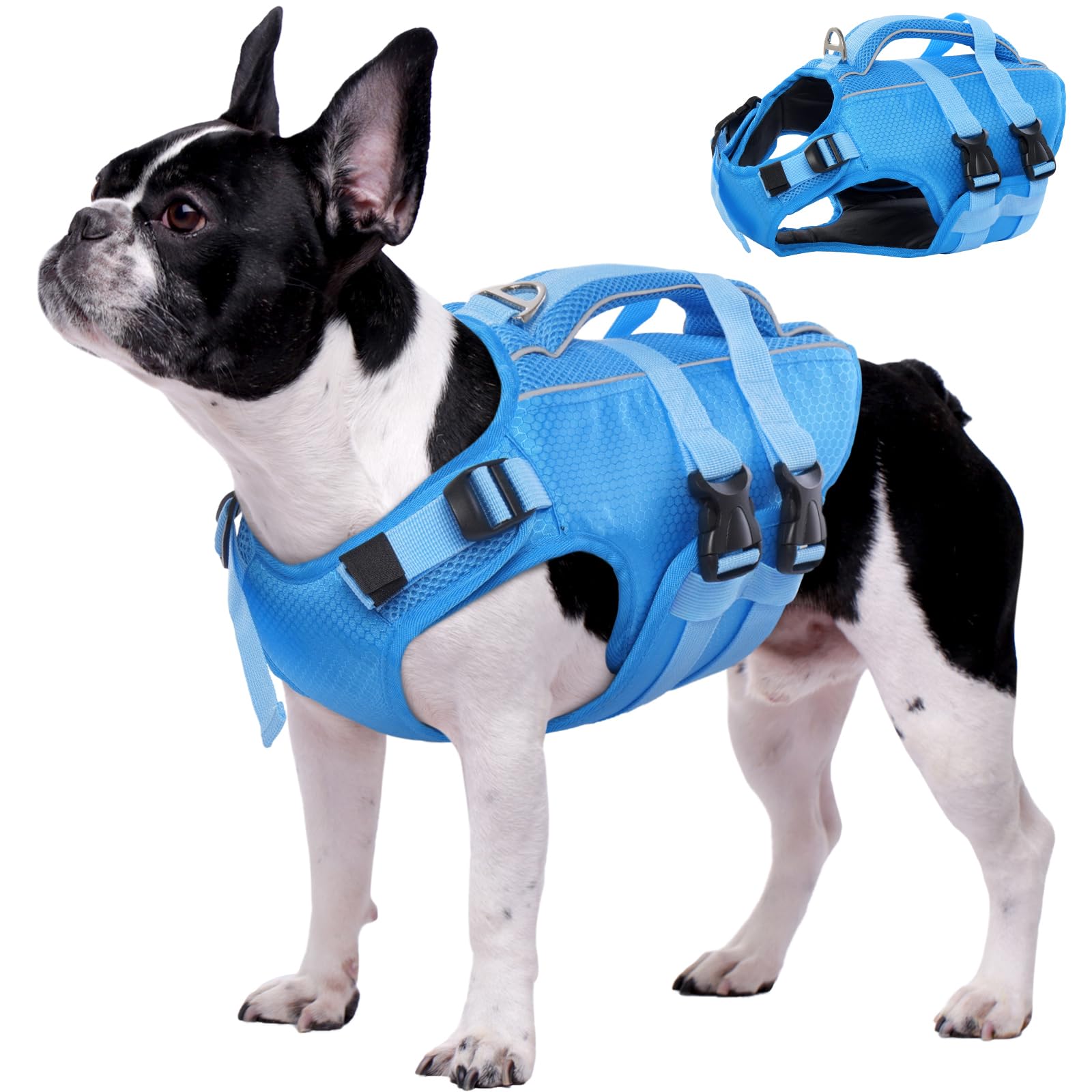 Kuoser dog life jacket front view showing snug fit and safety design for outdoor swimming.