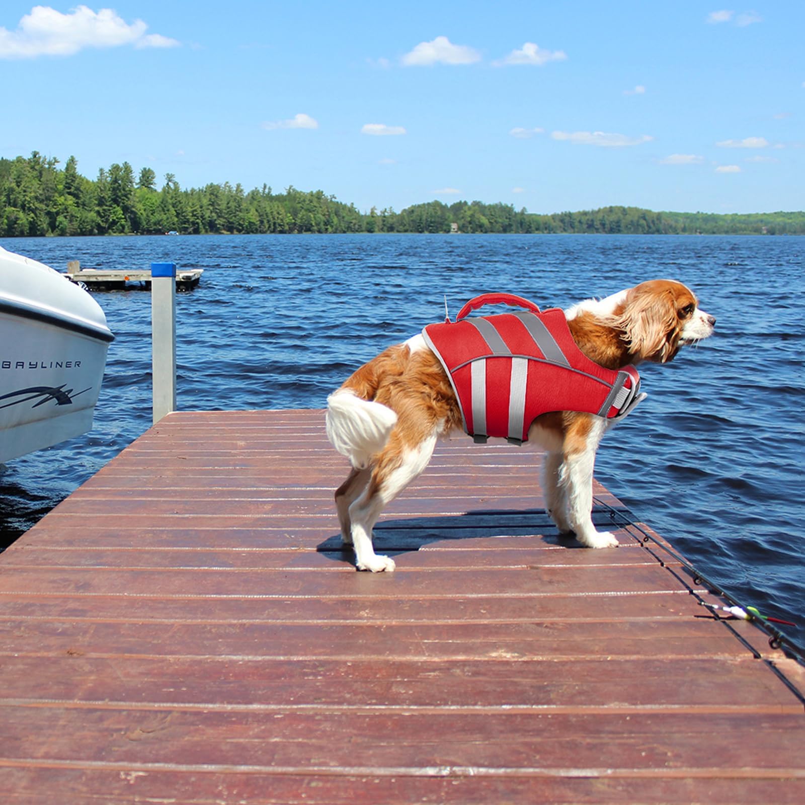 Kuoser high-flotation design helps dogs stay buoyant without hindering movement