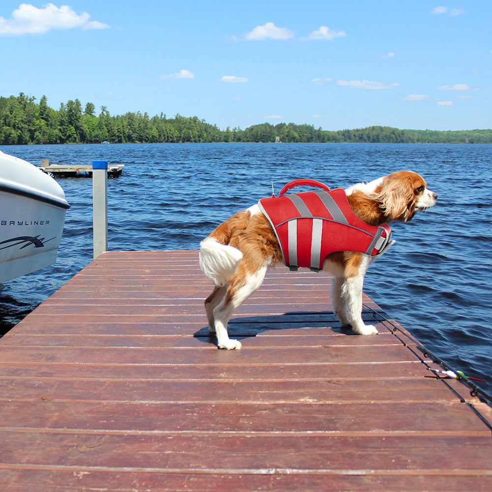 Kuoser high-flotation design helps dogs stay buoyant without hindering movement