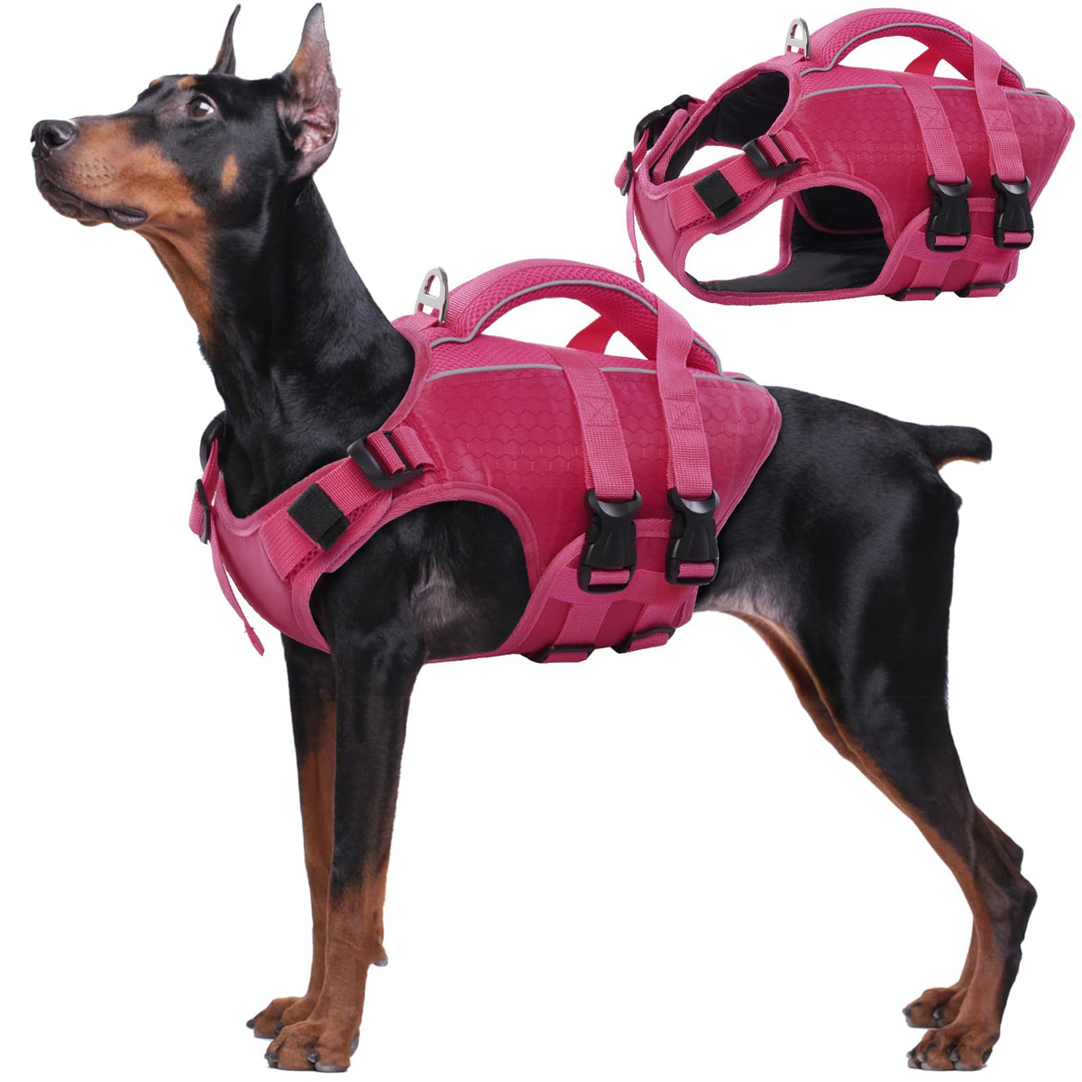 Kuoser dog life jacket high flotation for confident swimming