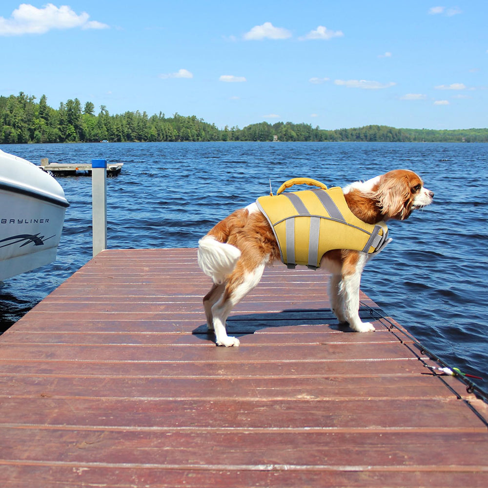 Kuoser life vest includes a sturdy D-ring for leash attachment.