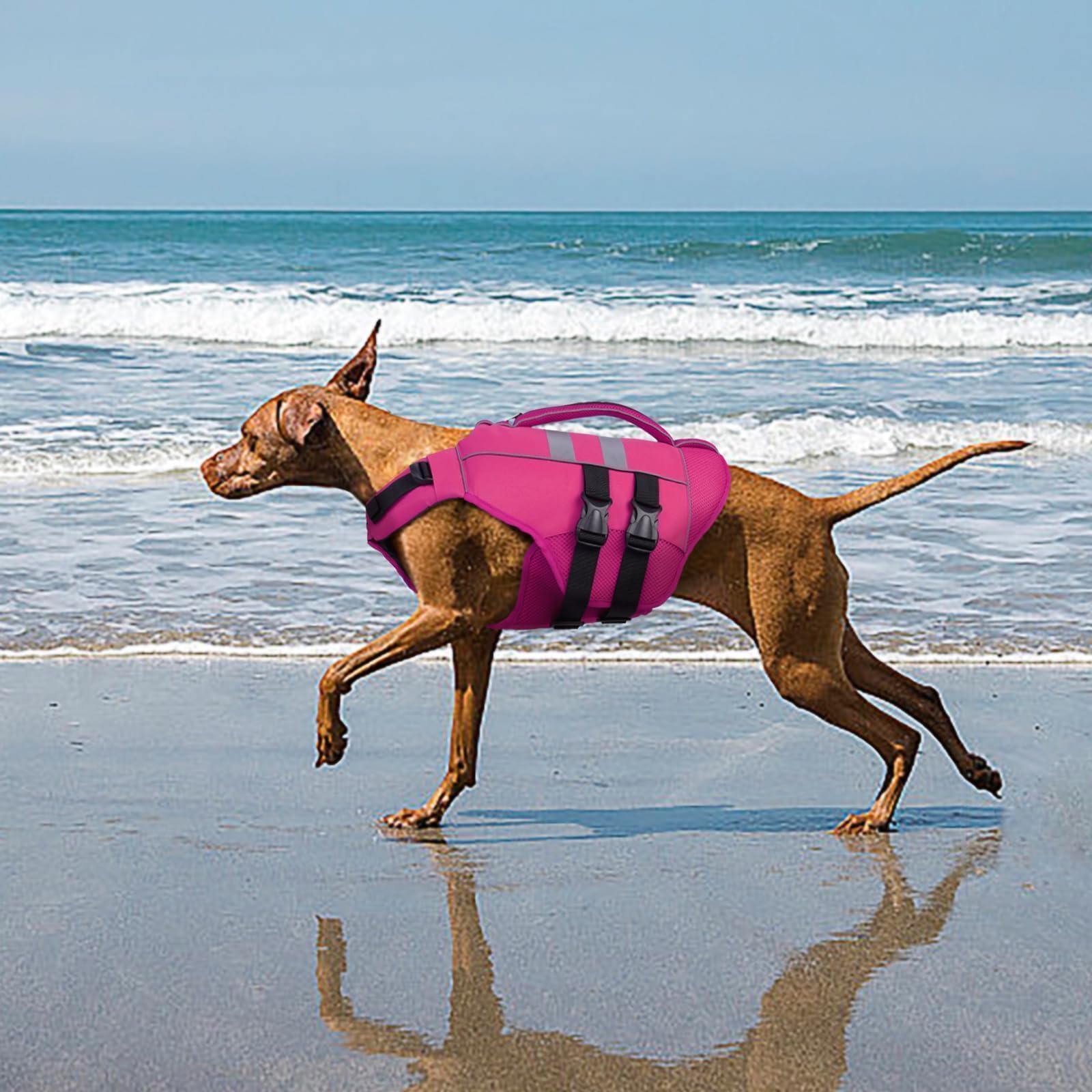 Kuoser Dog Life Jacket Large — top-handle and D-ring for simple rescues and leash attachment.