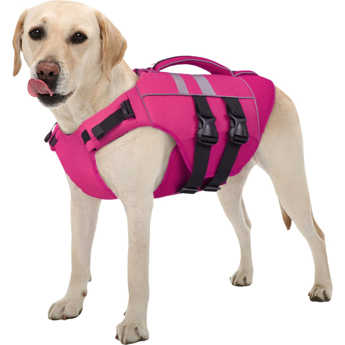Kuoser Dog Life Jacket Large — water-buoyancy view highlighting safe swimming support.