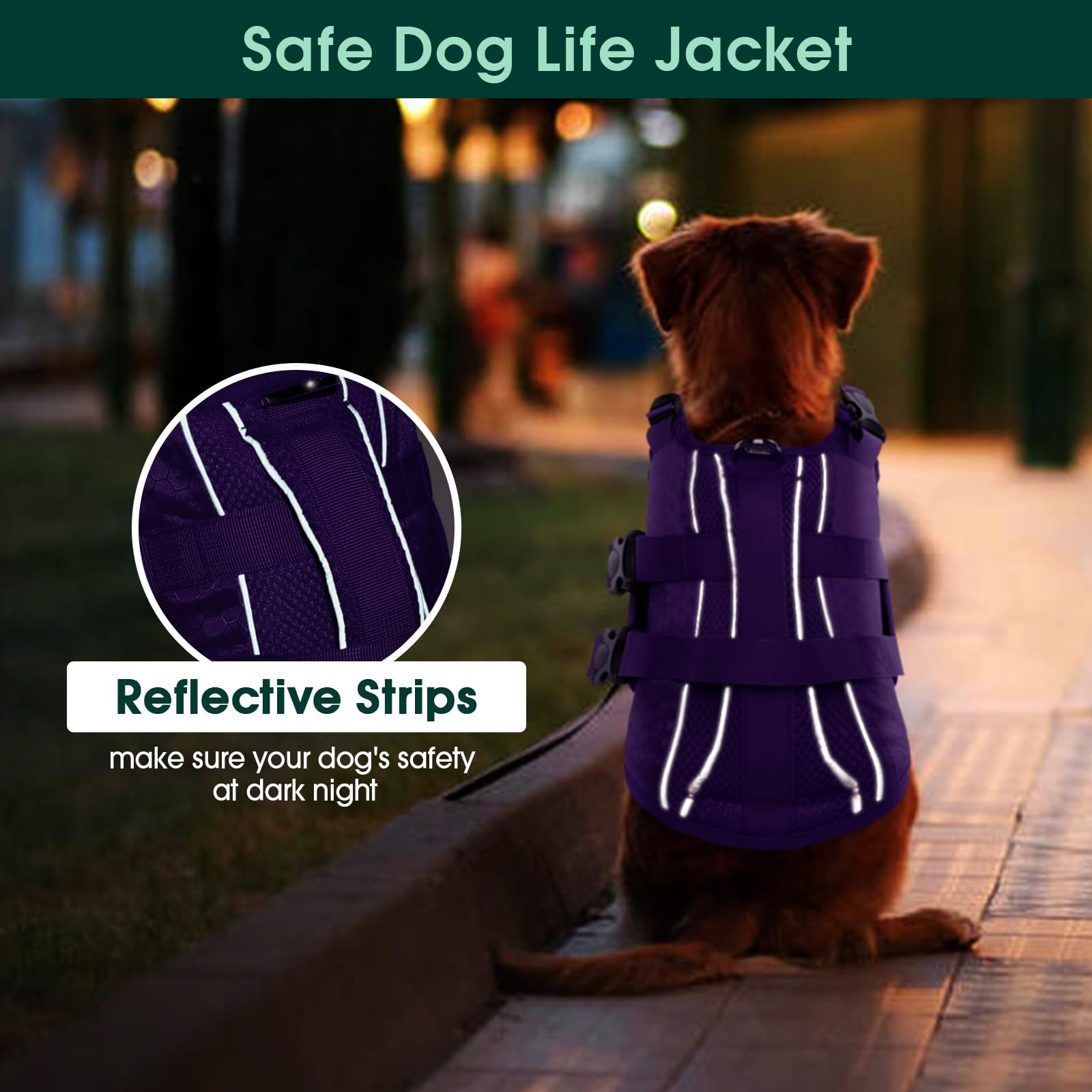 Kuoser lightweight vest keeps dogs comfortable on boat trips.
