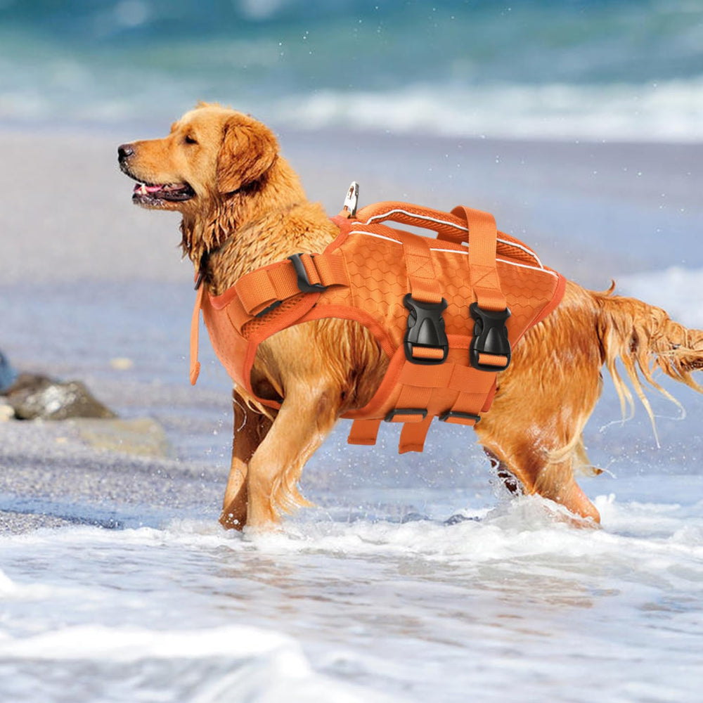 Kuoser lightweight-fabric design keeps dogs comfortable during pool swims