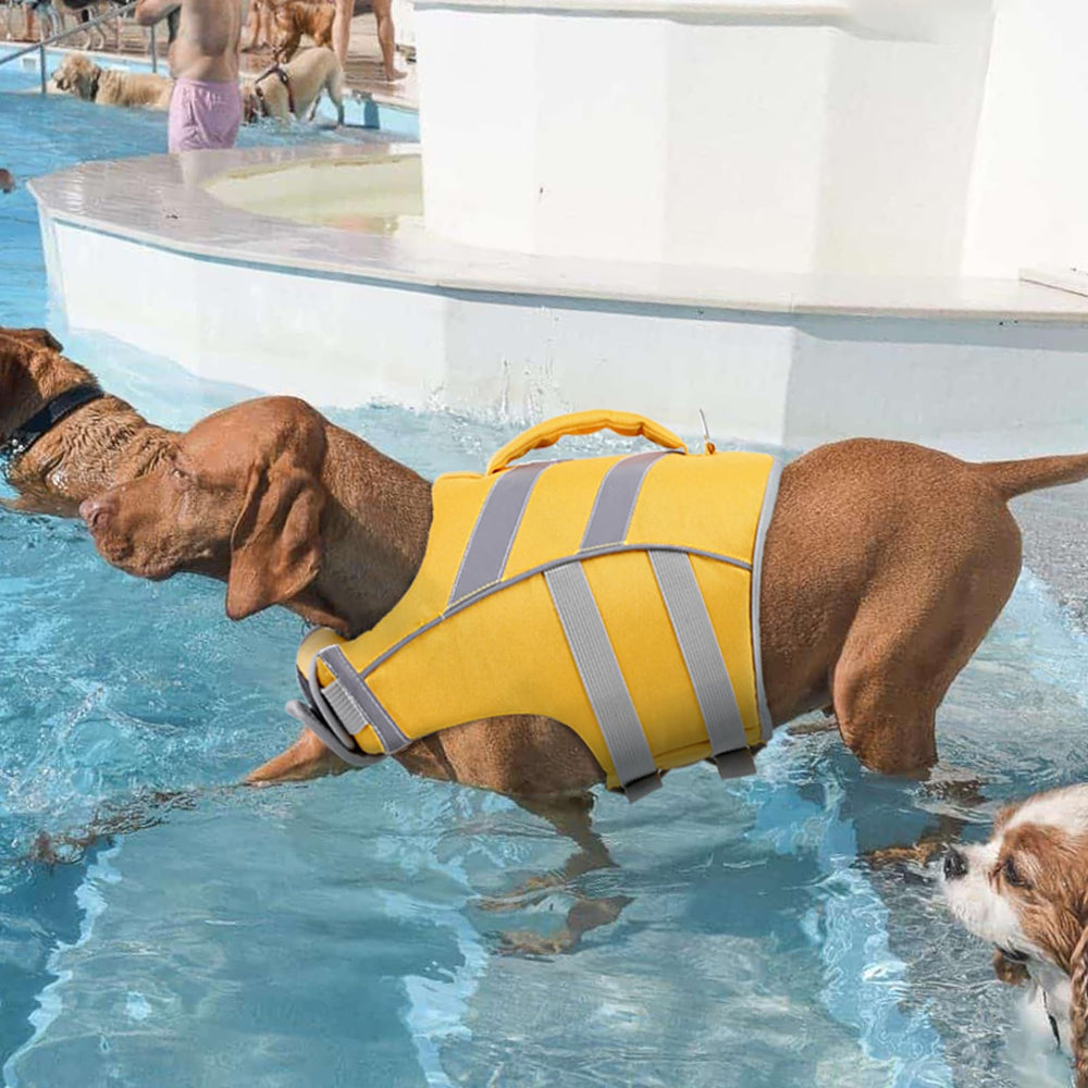 Kuoser dog life jacket on water scene highlighting safety during swimming and boating.