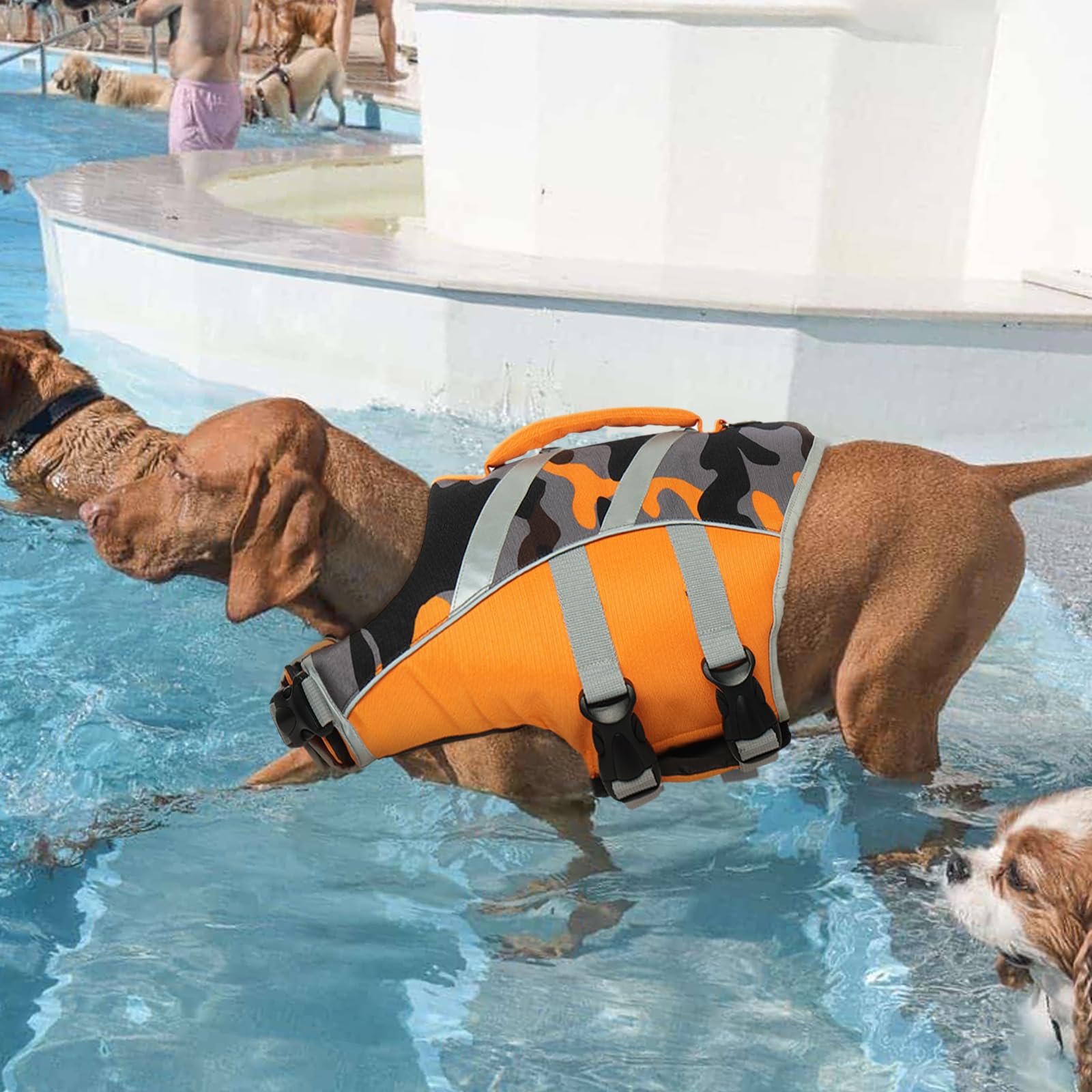 Kuoser reflective band detail enhances visibility in low light water activity
