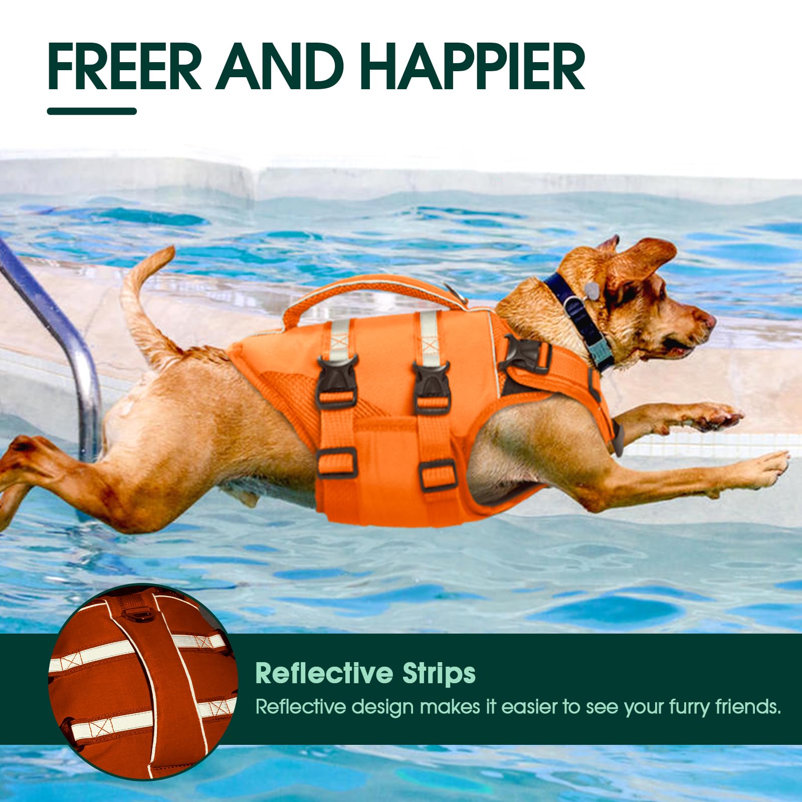 Kuoser Dog Life Jacket offers six sizes from XS to XXL with adjustable straps for a great fit.