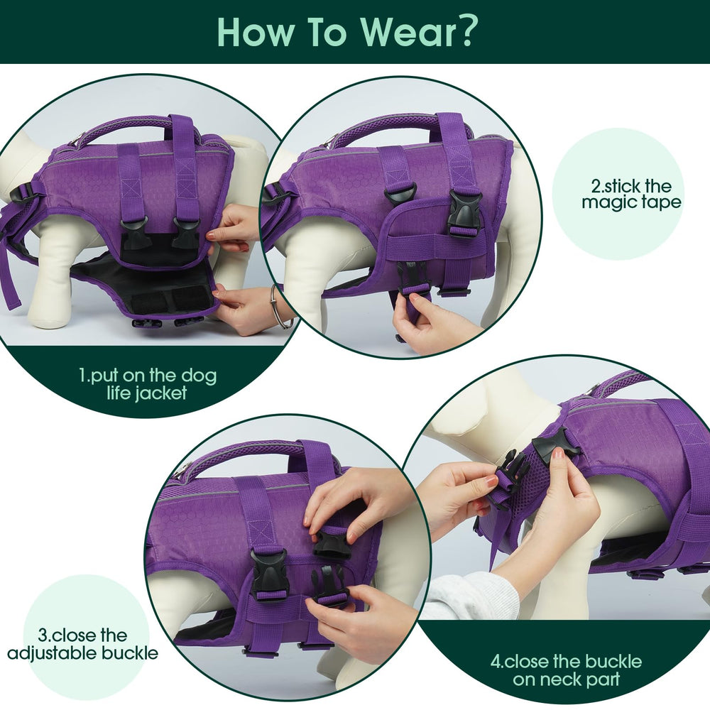 Kuoser sizing options XS-XXL fit most breeds securely.