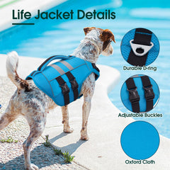 Kuoser dog wearing life vest ready for water adventures and boating safety.