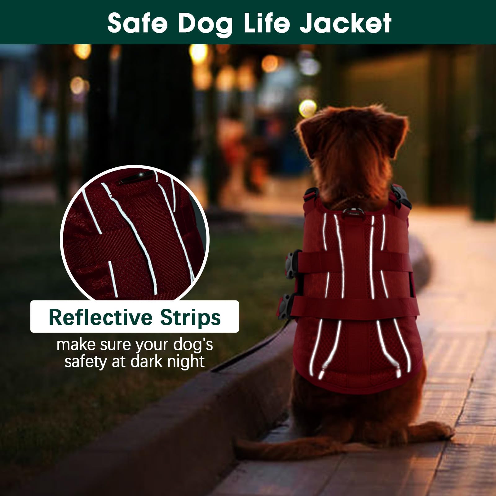 Kuoser dog life jacket on the beach supports safe boating and playtime