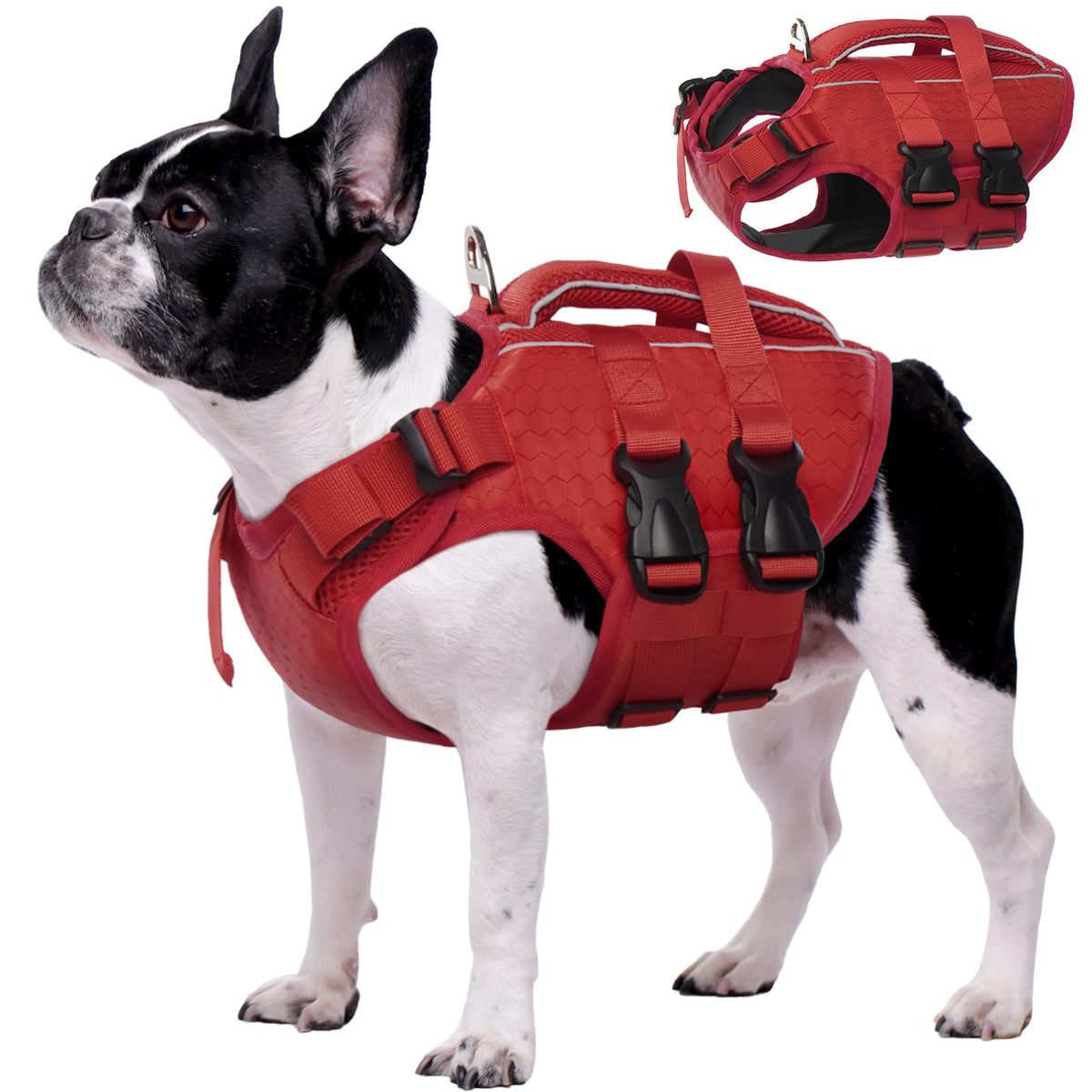 Kuoser dog life jacket with flotation keeps dogs buoyant during pool time