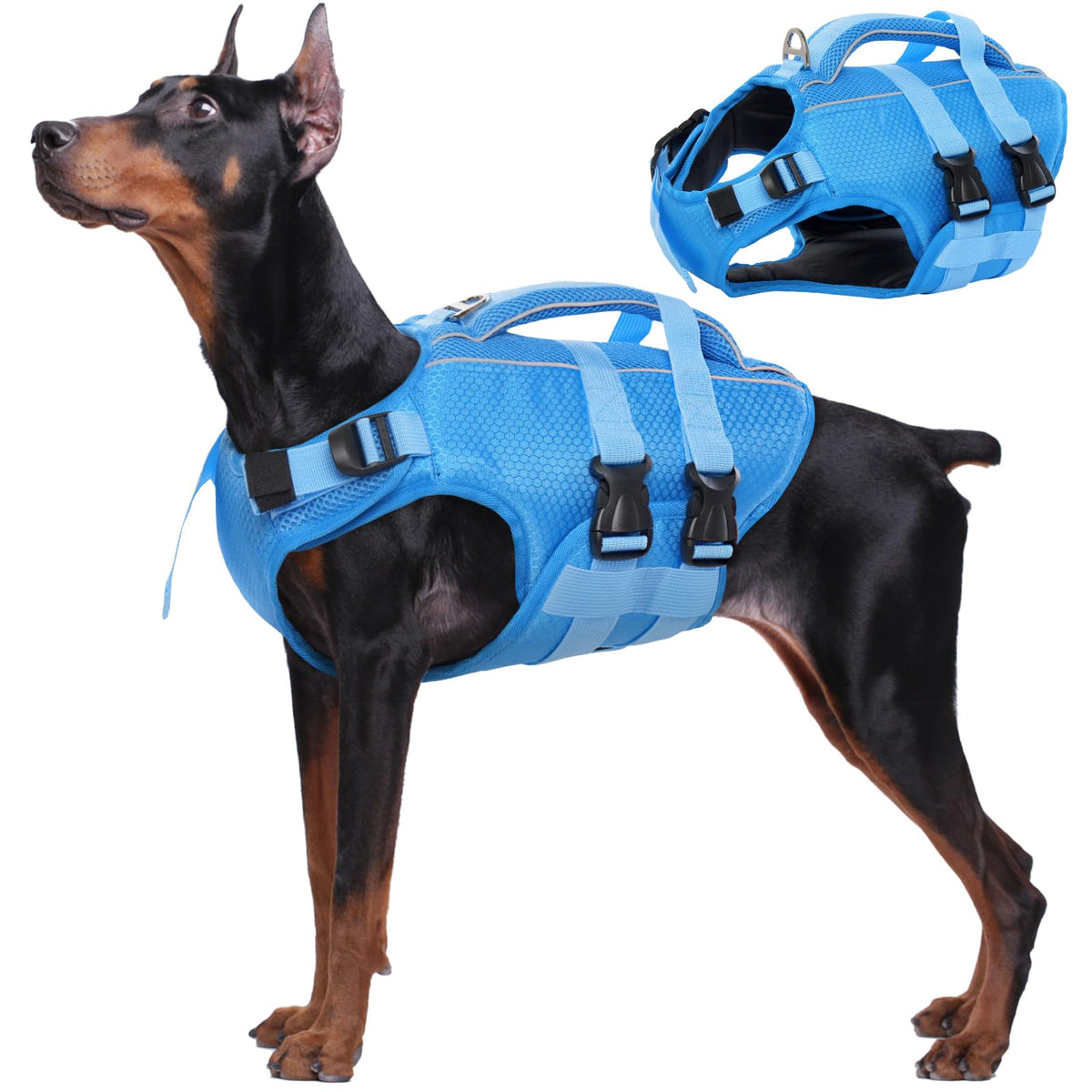 Kuoser dog life jacket front view with reflective trim for safer daytime play.