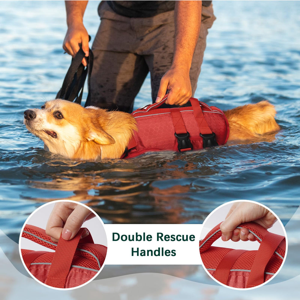 Kuoser dog lifejacket on a swimming dog demonstrating buoyant support