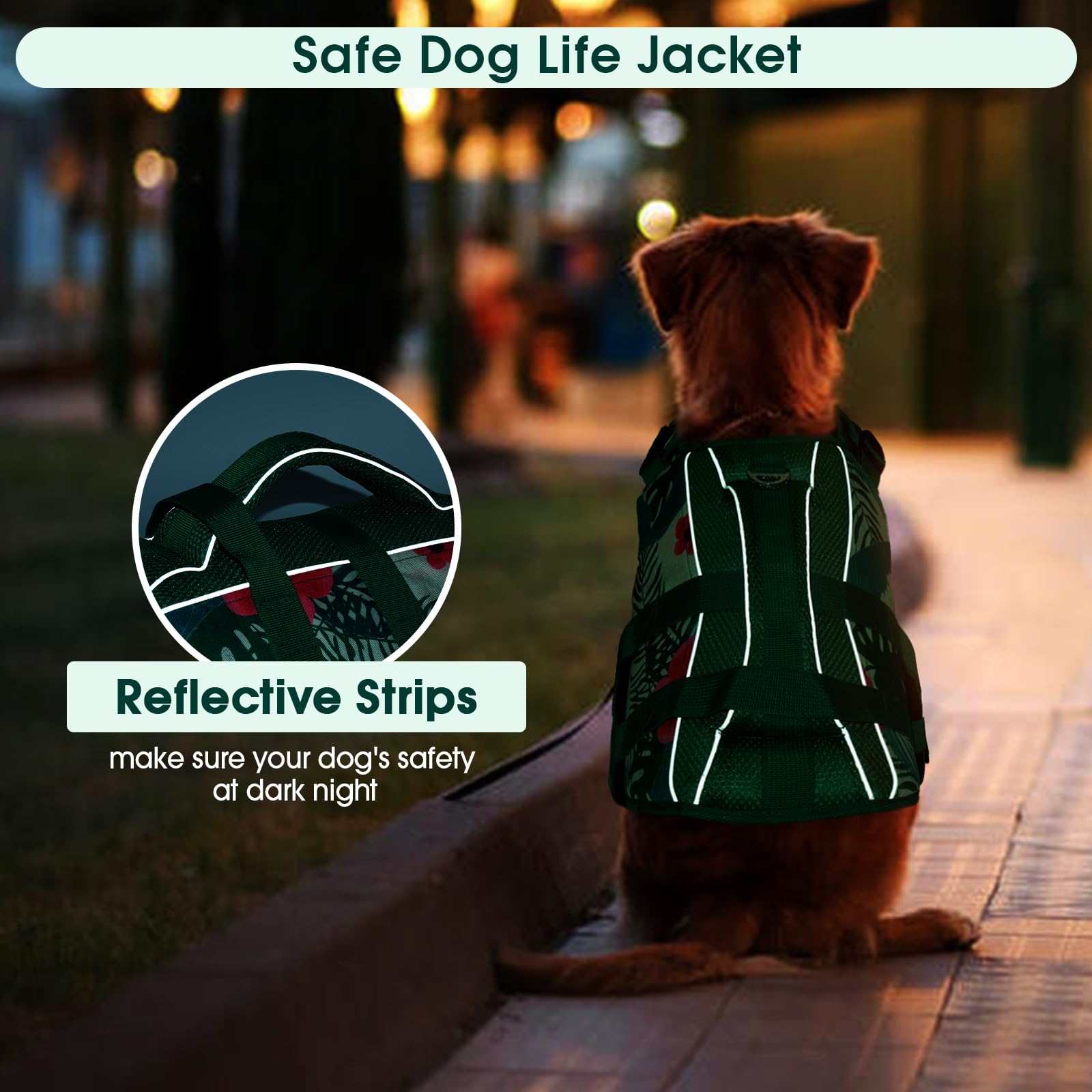 Kuoser dog life jacket quick-release buckles simplify on/off for easy outdoor use.