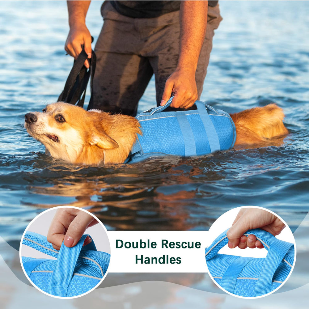 Kuoser dog life jacket size-range chart highlighting XS to XXL options.