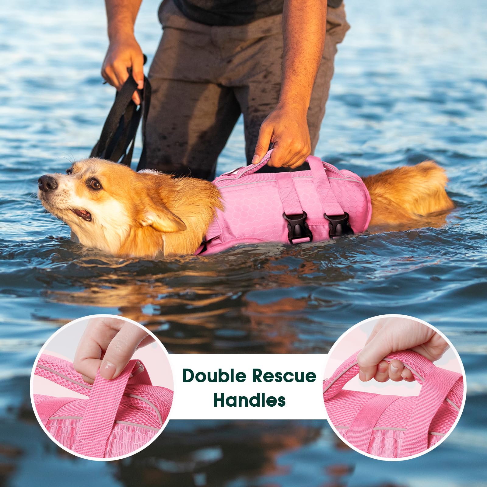 Kuoser dog lifejacket worn by a dog while swimming for safe water fun