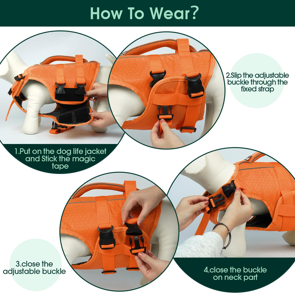 Kuoser dog pool/beach vest ready for water fun and safety