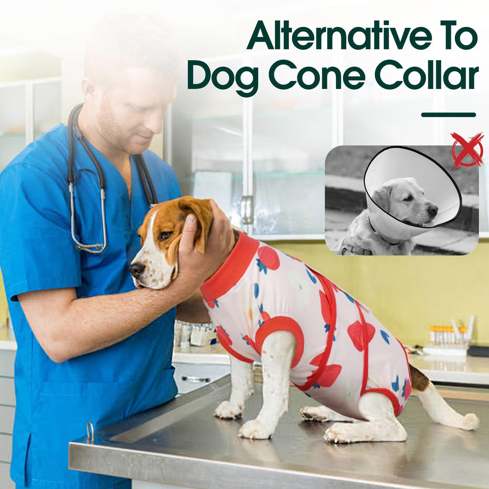Kuoser dog recovery suit anti-lick-design minimizes licking and scratching around wounds