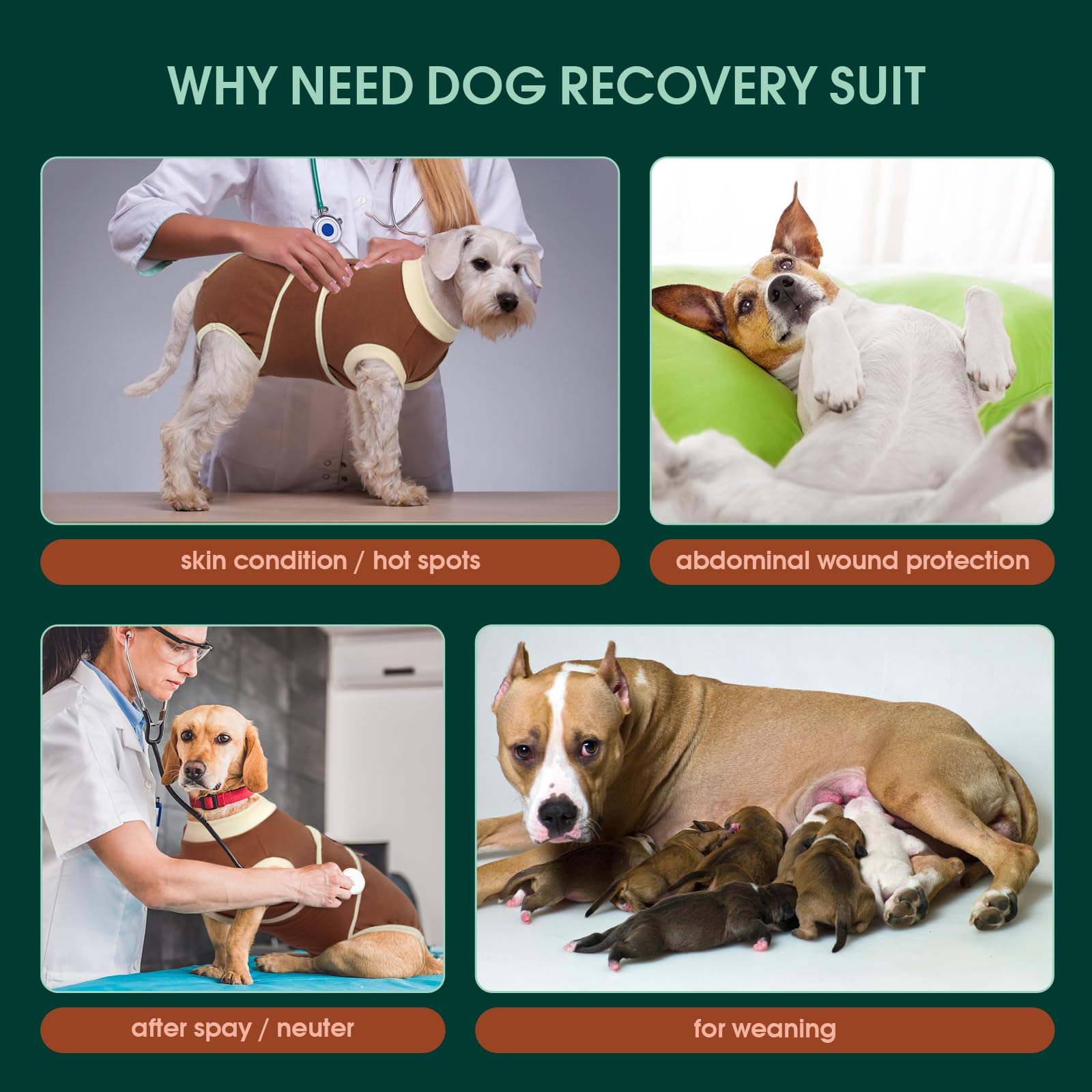 Kuoser dog recovery suit anti-licking e-collar alternative reduces wound licking