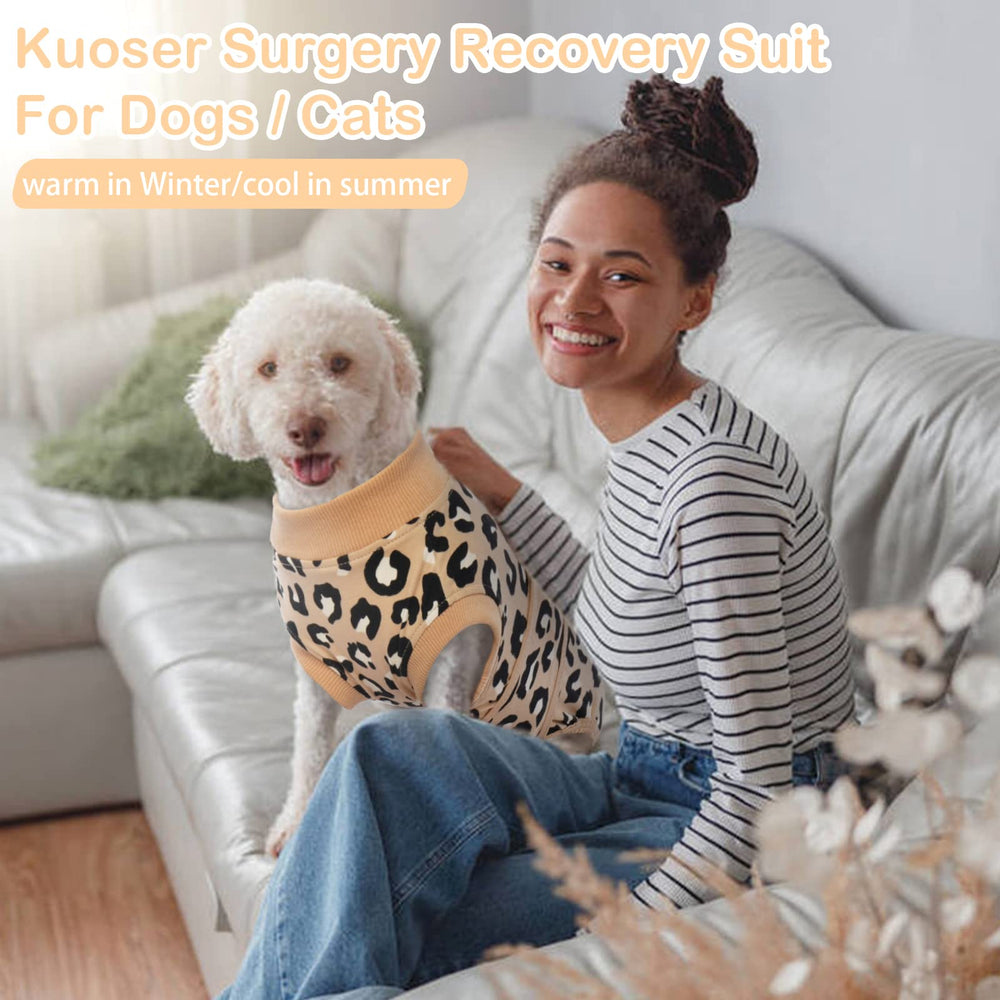 Happy dog wearing Kuoser recovery suit relaxed on couch.