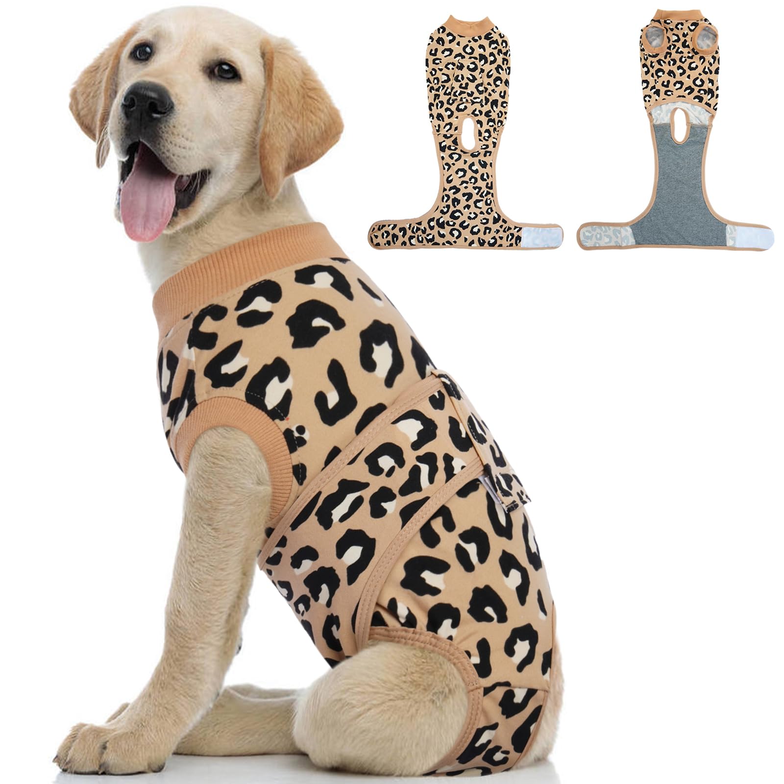 Kuoser recovery suit worn on a small dog, breathable fabric provides comfortable healing.