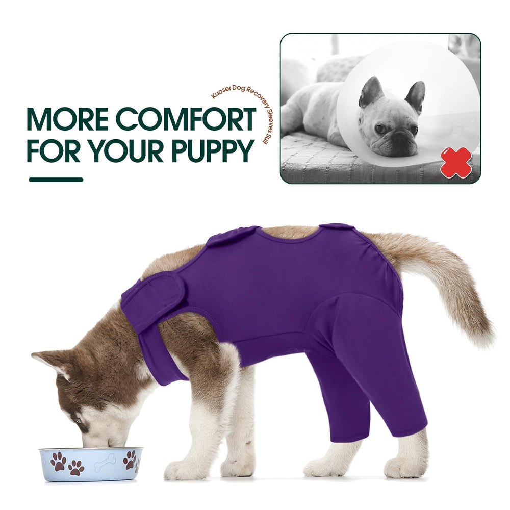 Kuoser dog recovery suit easy-on closure purple M facilitates quick changes