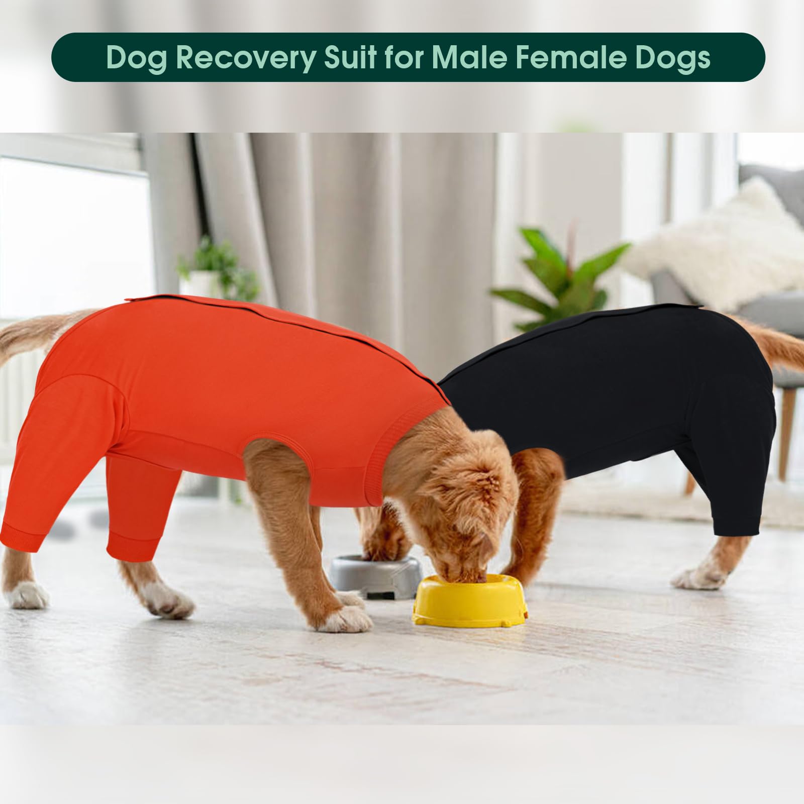 Kuoser orange recovery suit provides easy visibility for home monitoring.