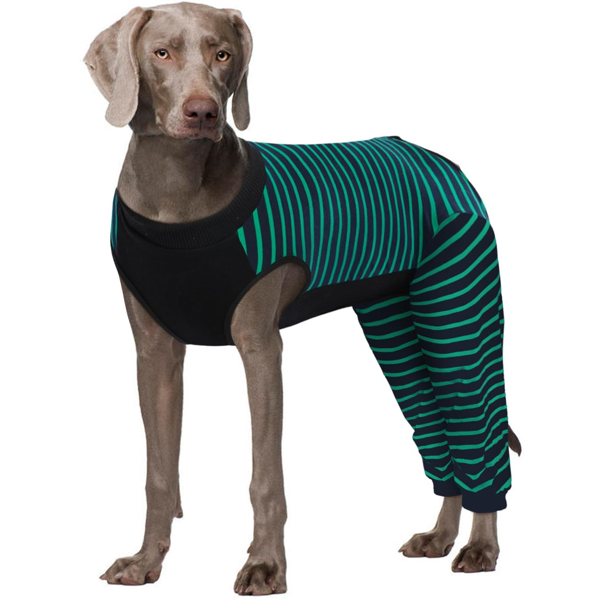 Kuoser dog recovery suit green front view reduces licking and supports gentle healing.