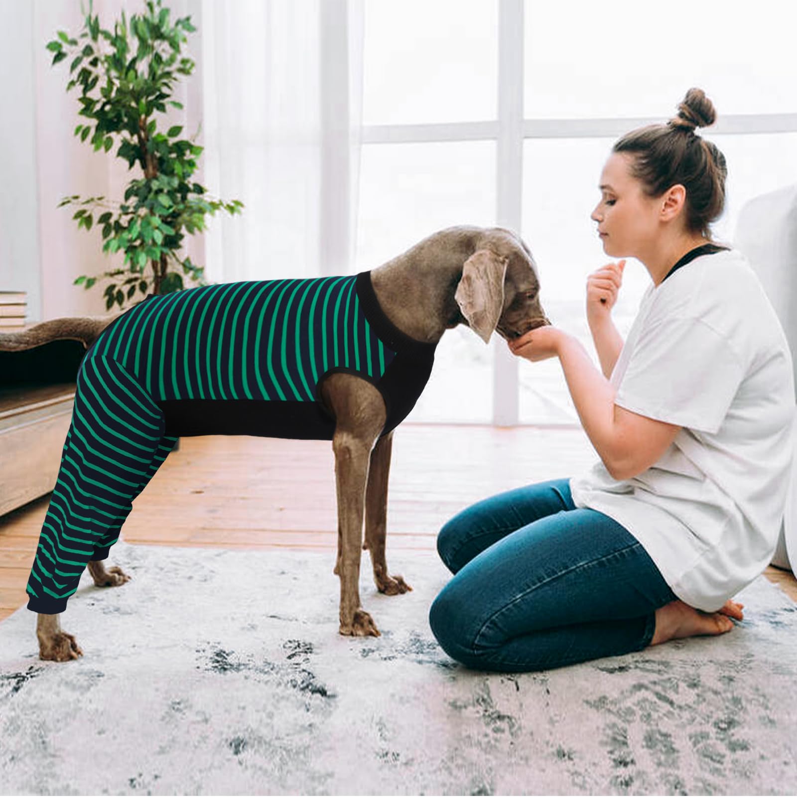Kuoser dog recovery suit green anti-licking sleeve reduces interference.