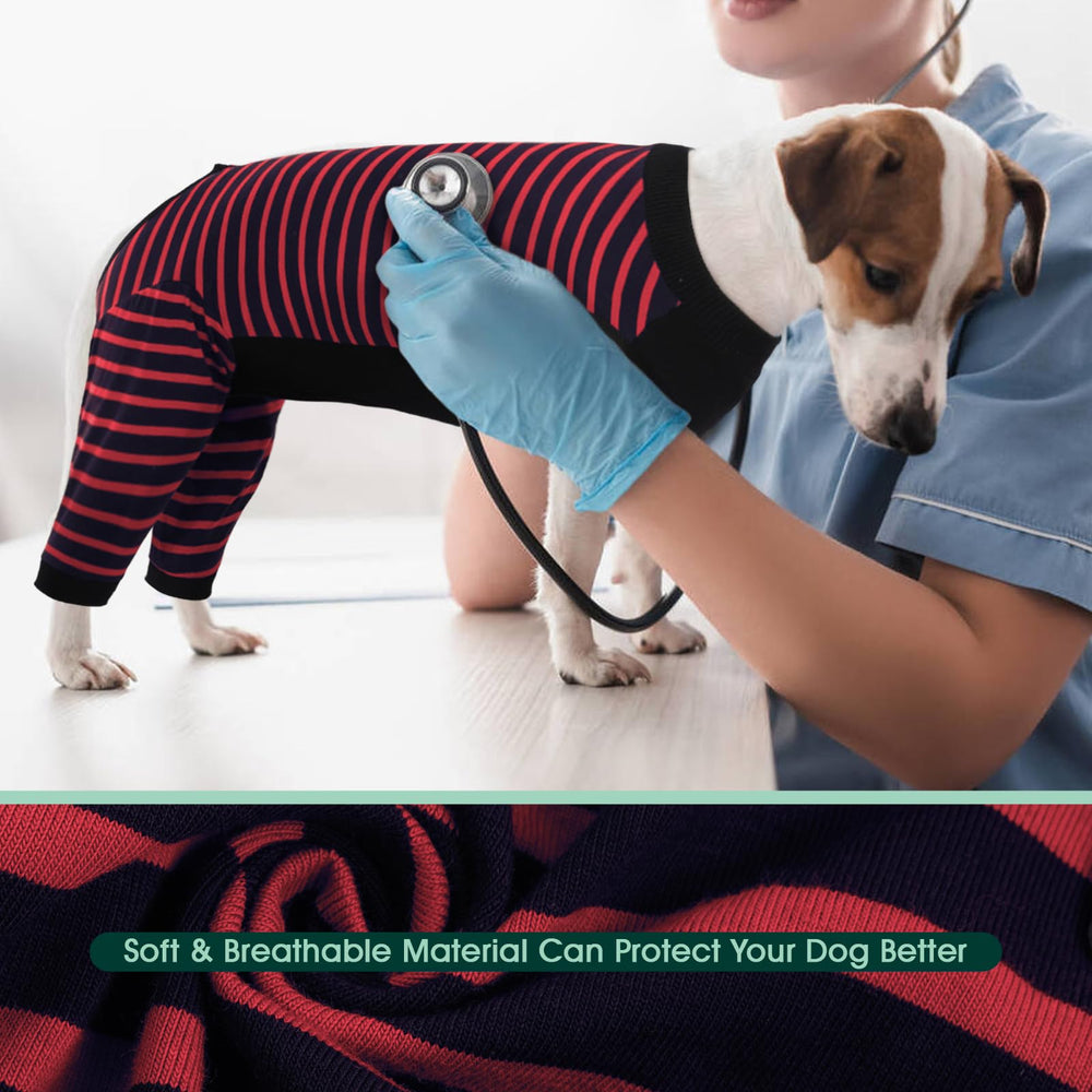 Kuoser pants cover provides secure, adjustable protection for active dogs