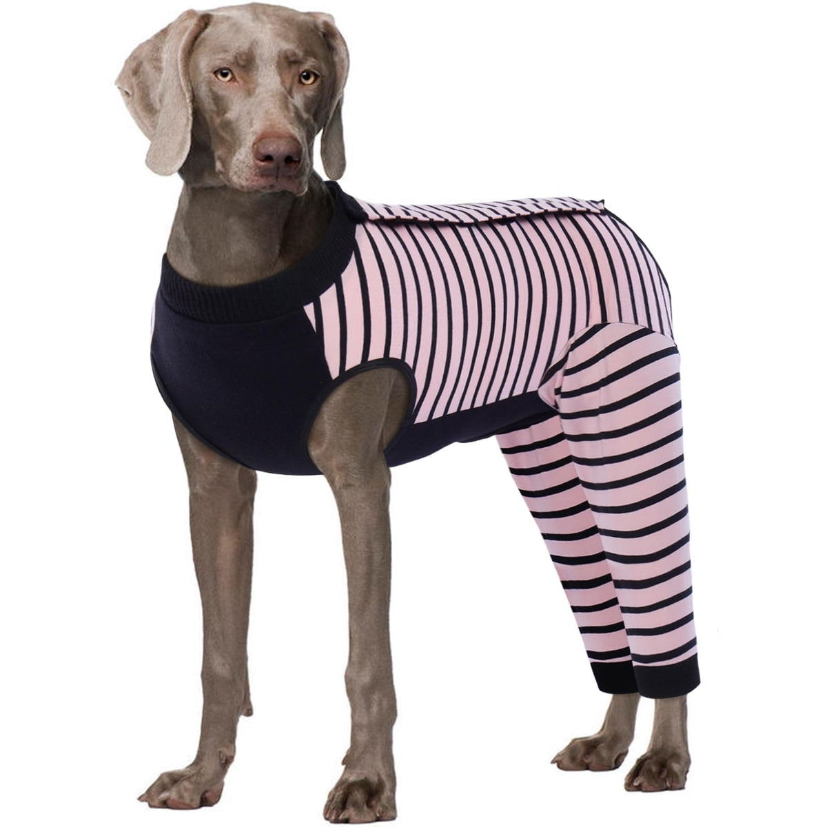 Kuoser dog recovery suit pink 4XL front view shows rear-leg protection and comfort.