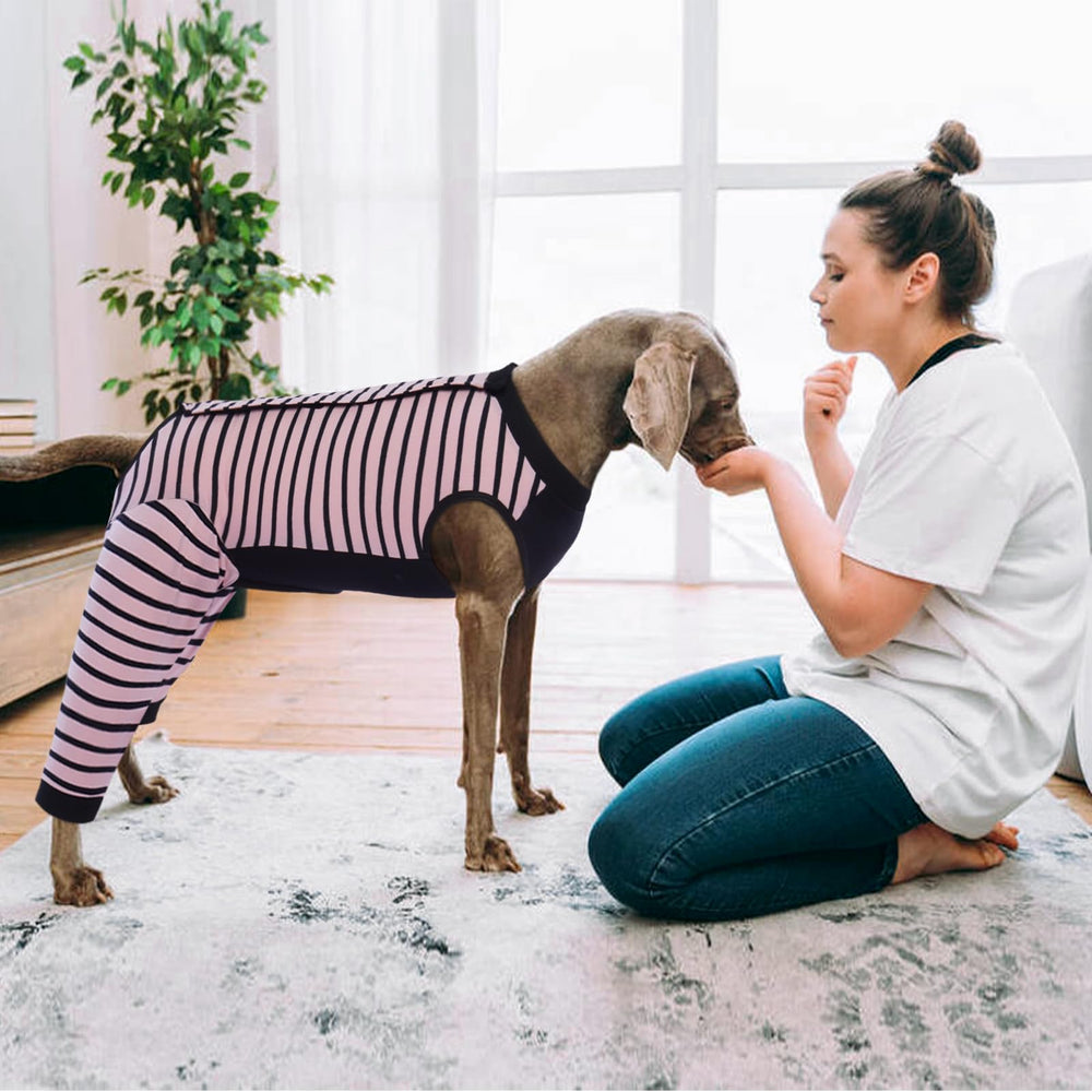Kuoser dog recovery suit pink 4XL worn on dog demonstrates cone-free recovery option.