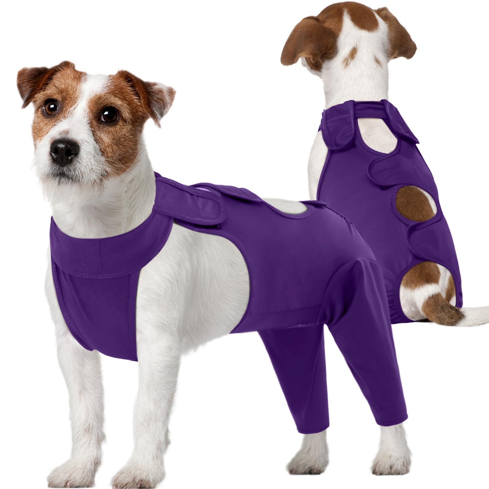 Kuoser dog recovery suit rear legs purple M full view for protection
