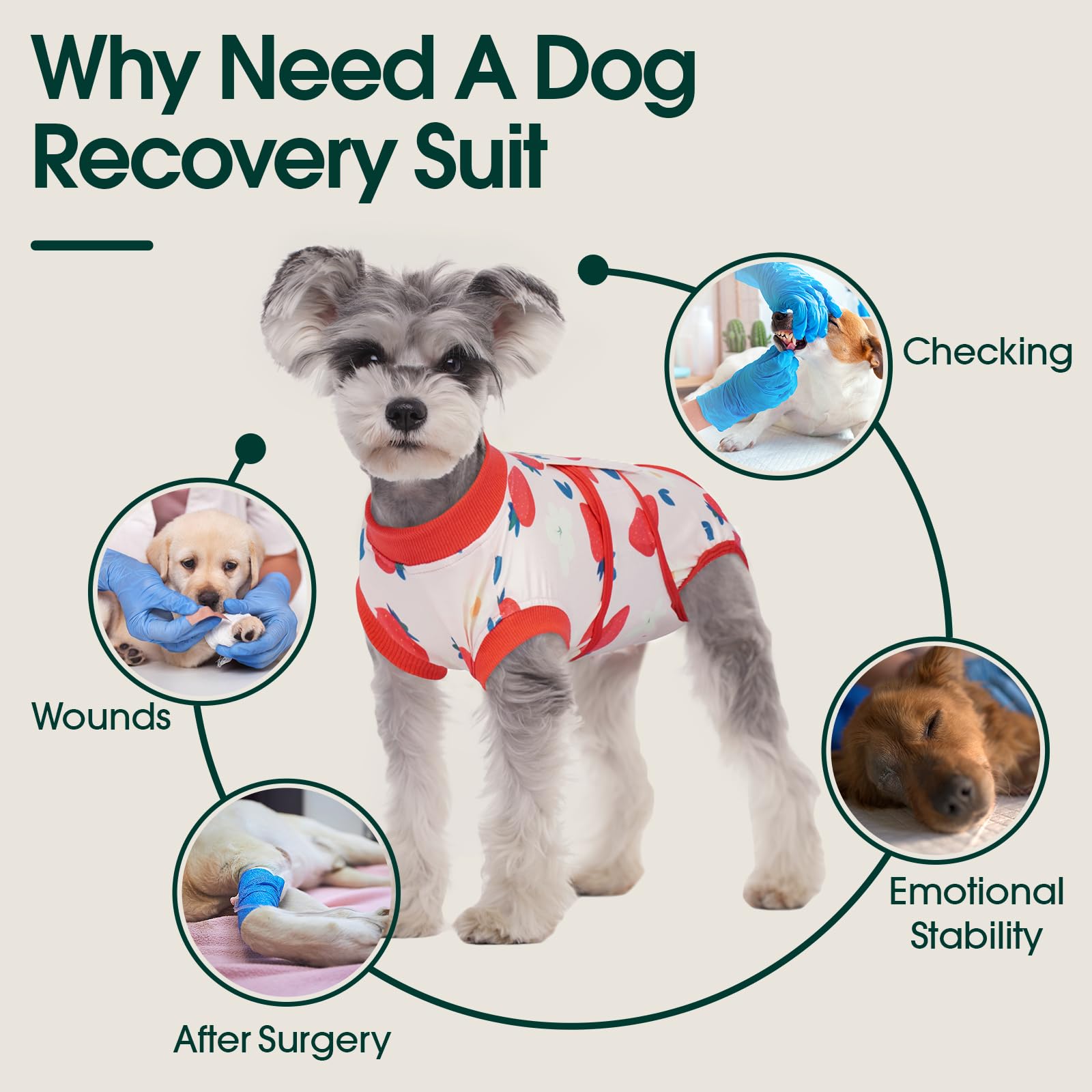 Kuoser dog recovery suit skin-conditions-use helps reduce irritation and protect treated areas