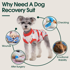 Kuoser dog recovery suit skin-conditions-use helps reduce irritation and protect treated areas