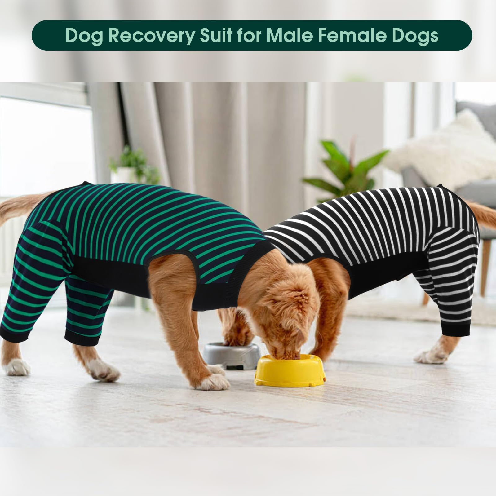 Kuoser green L recovery suit blends with calm routines and comfort