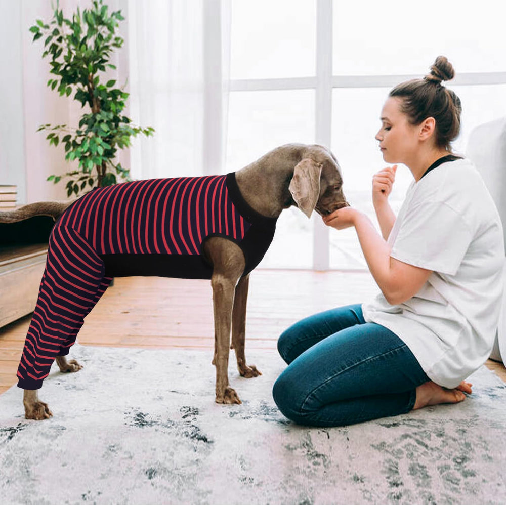 Kuoser red 4XL size offers secure fit and easy visibility for caregivers
