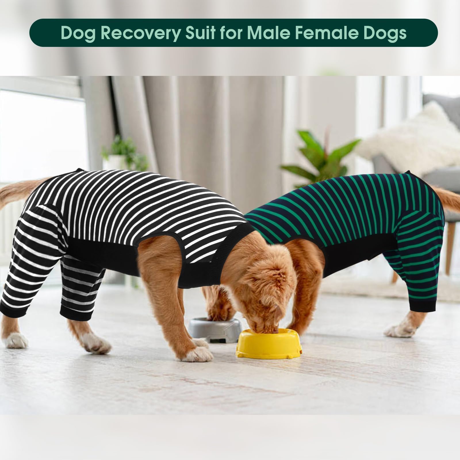 Kuoser spay-neuter use image illustrates versatile garment aid during recovery