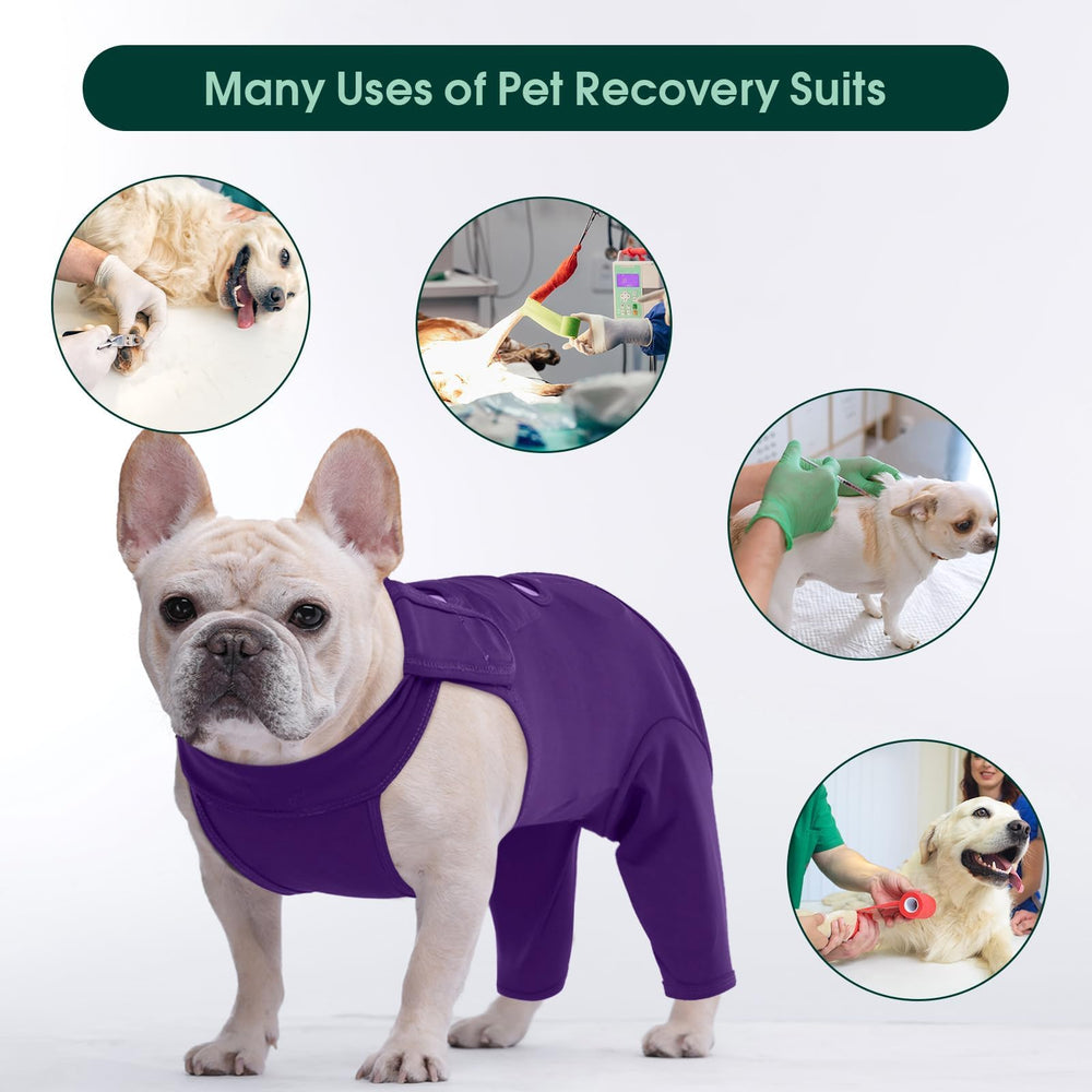 Kuoser dog recovery suit spay neuter use-case purple M versatile