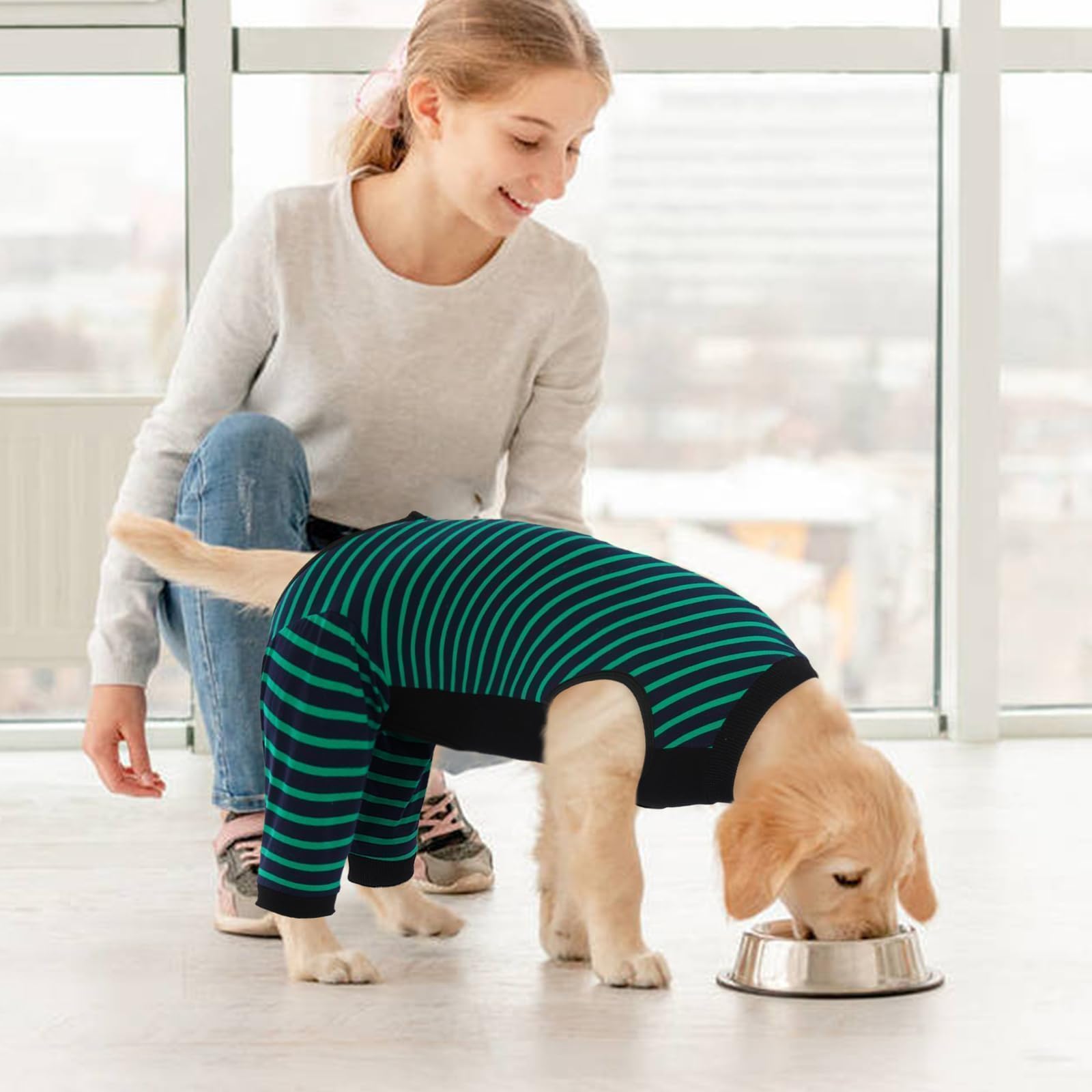 Kuoser dog recovery suit sterilization or weaning use green scene