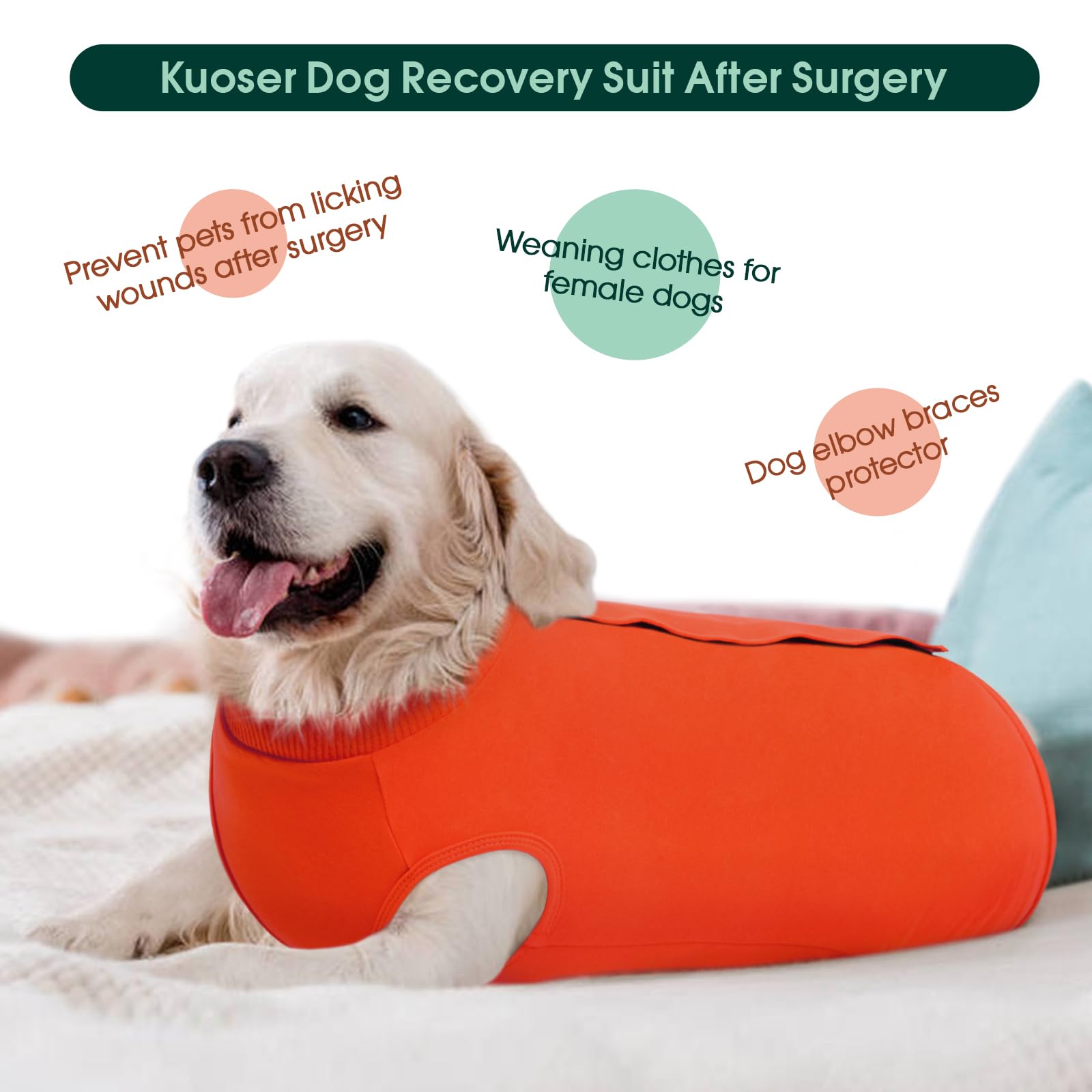 Kuoser recovery-suit versatile-use for post-surgery, sterilization, or weaning.