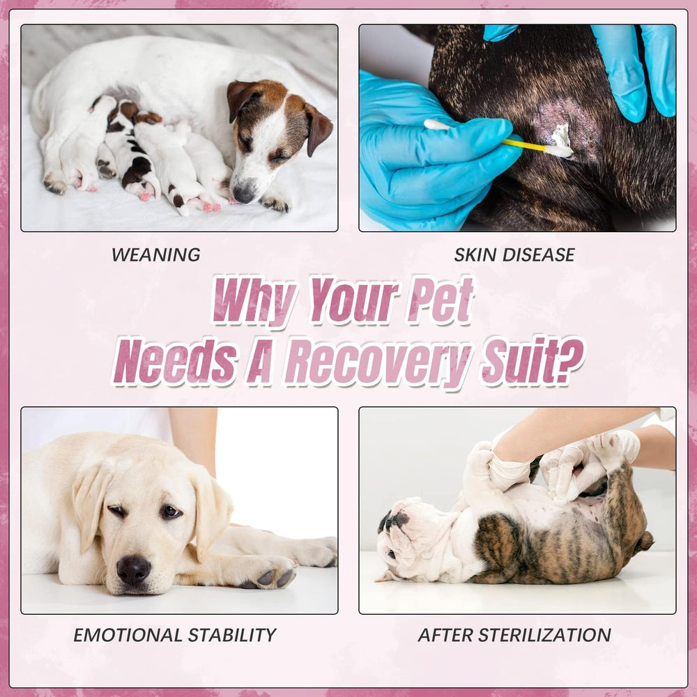 Kuoser dog surgery recovery suit adjustable fit for varied breeds and sizes