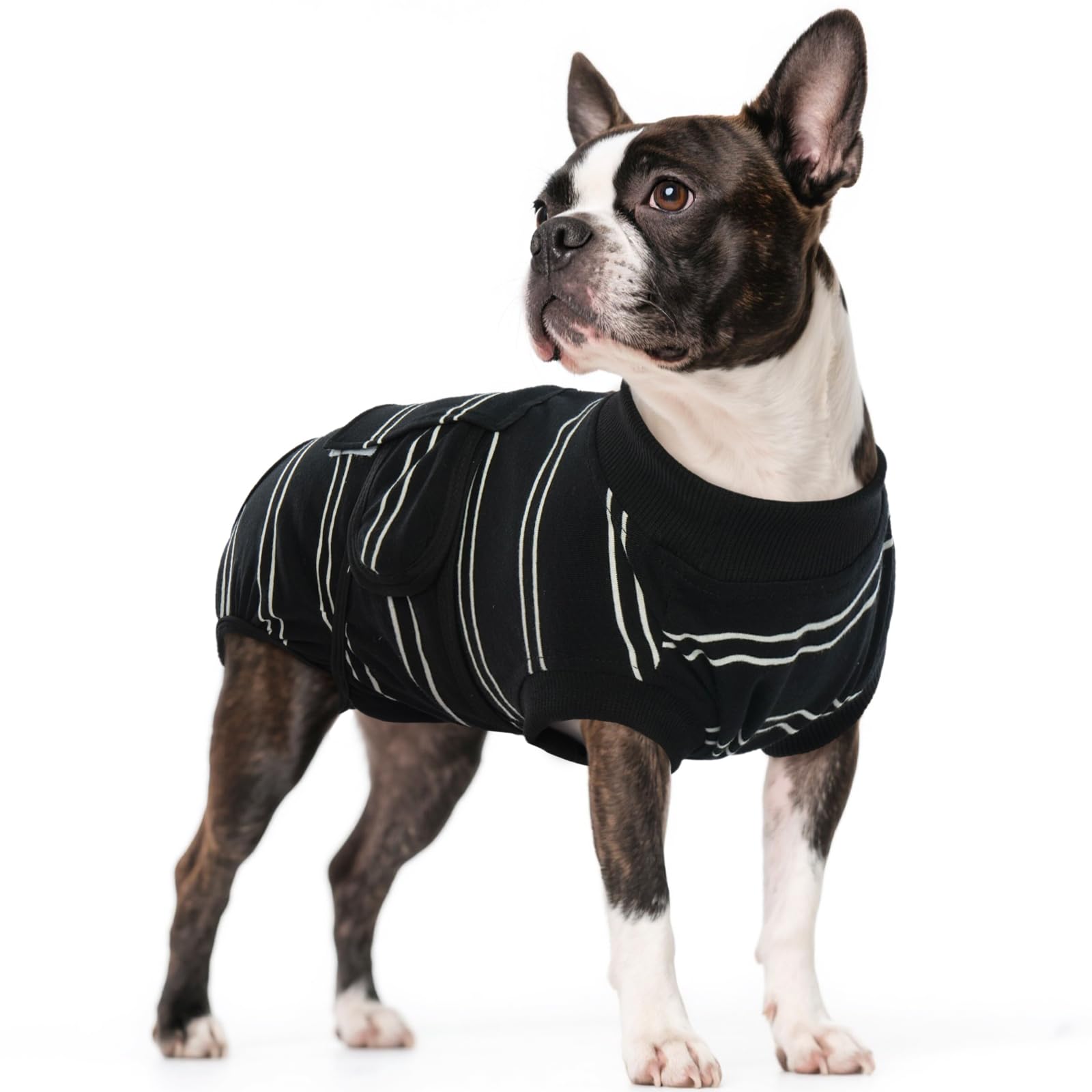 Kuoser Dog Surgery Recovery Suit blue fit showcases snug protection for post-op healing