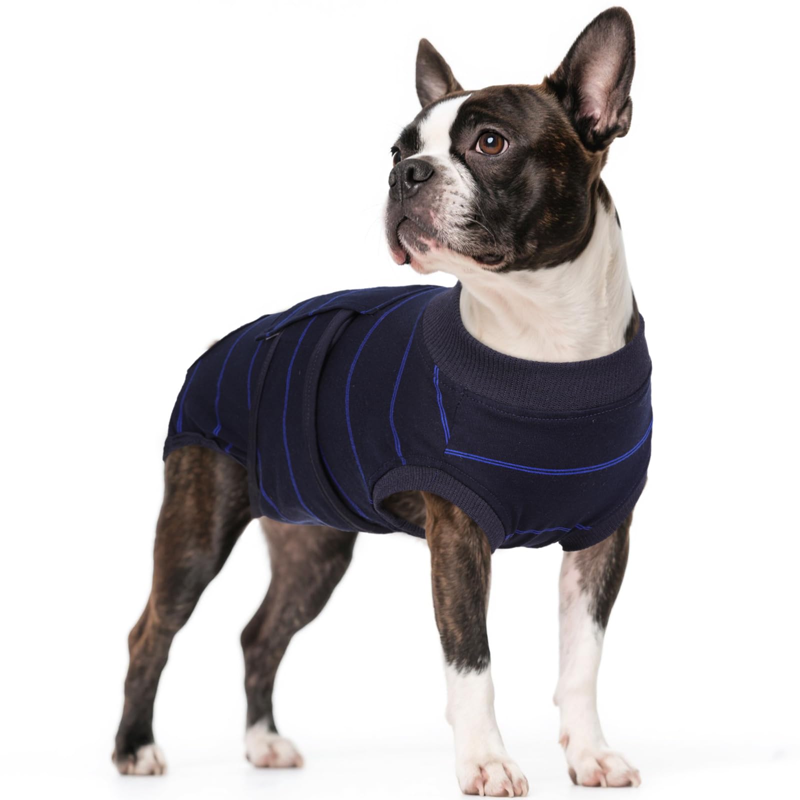 Kuoser dog surgery recovery suit front view in blue stripes; snug fit supports controlled healing.