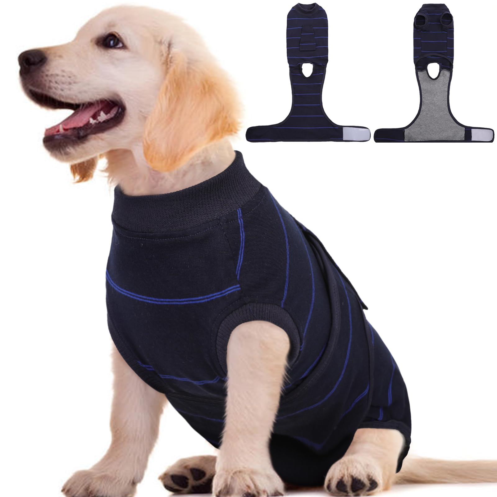 Kuoser dog surgery recovery suit blue stripes XS on a small dog for gentle healing protection
