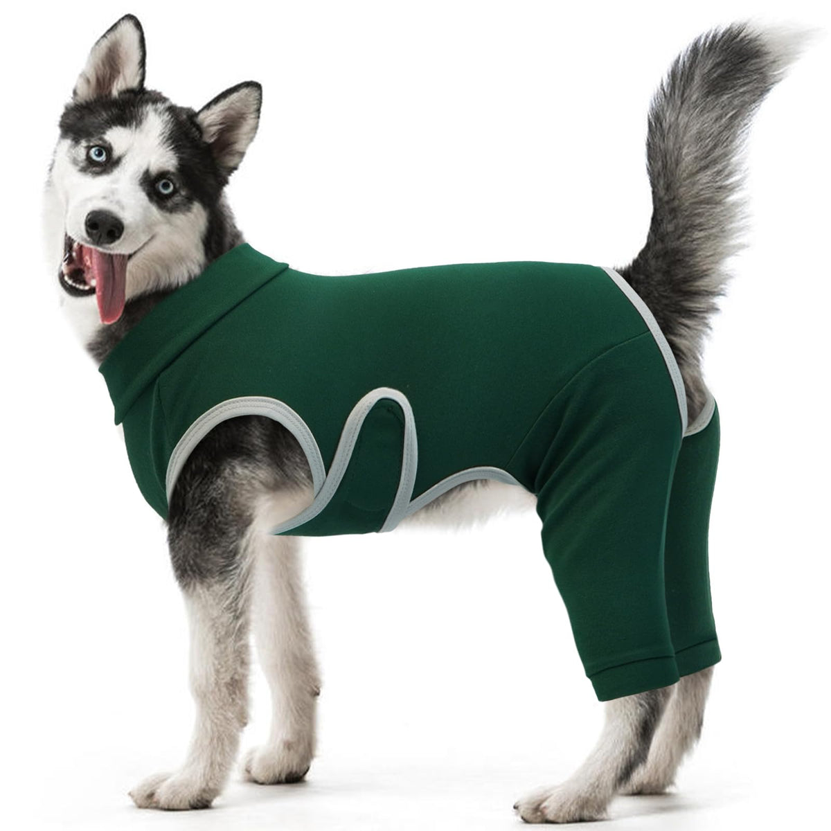 Kuoser dog surgery recovery suit worn by a dog showing full back-leg coverage and anti-licking protection.