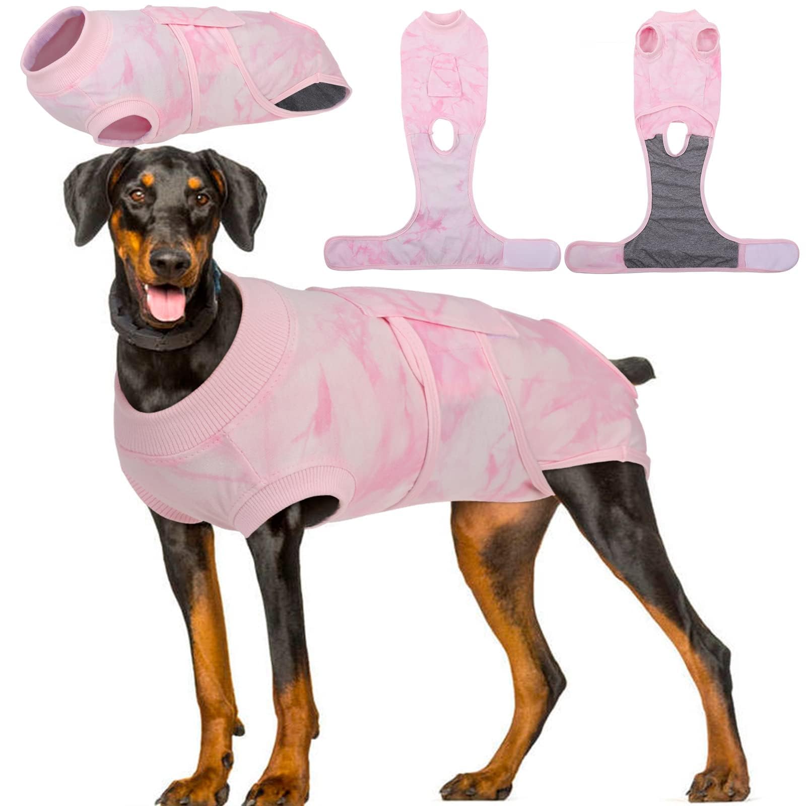 Kuoser dog surgery recovery suit on a calm dog for wound protection