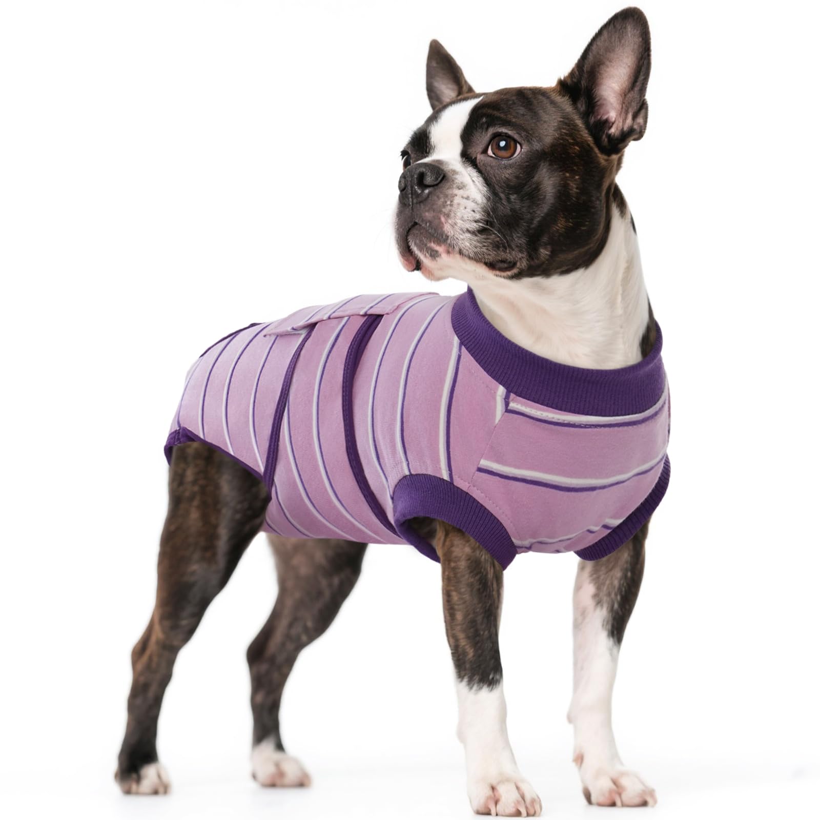 Kuoser dog surgery recovery suit purple strips front view promotes snug healing fit