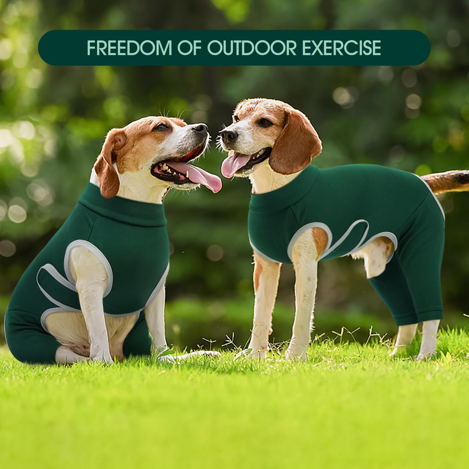 Washable Kuoser recovery suit helps keep your dog hygienic during daily use.
